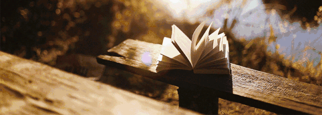 640_229gif 动态图 动图