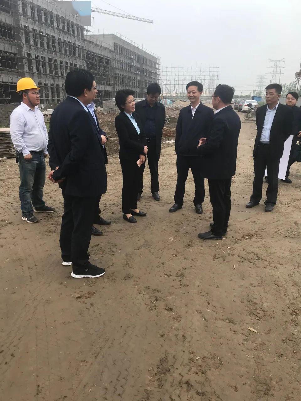 王小红到东台调研"两重一实"项目