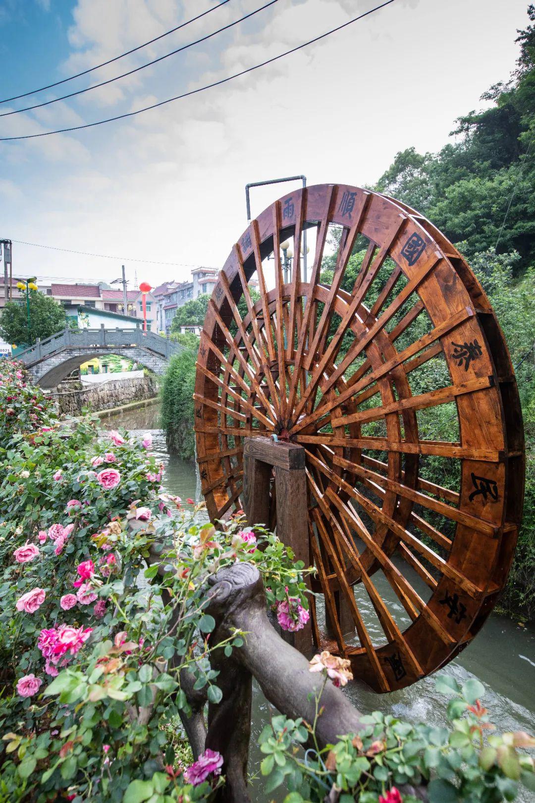 在积极外拓资源的同时,2019年,穆坞村被列入兰溪市乡村振兴"示范村"