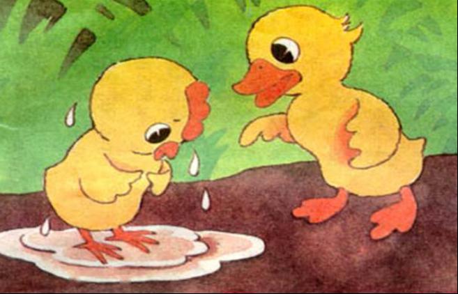 听故事来了青云店镇中心幼儿园教师讲故事之小公鸡和小鸭子