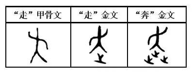 走,奔古文奔,楚简《周易》作走,走金文上为大(人)象人挥臂奔跑