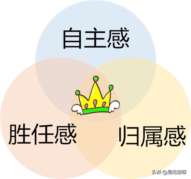 全网停服的一天游戏到底有什么好玩的