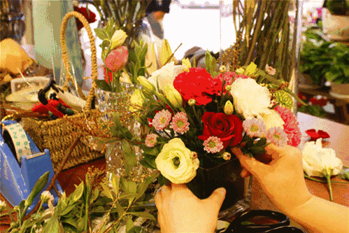 499_333gif 动态图 动图