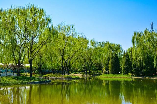 北京巴沟山水园田园好风光让你开启避暑新模式