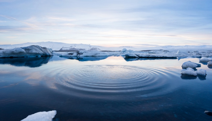 美食烹饪改变不了电饭煲产业，巨头化的市场已缺乏想象力-家电圈官网