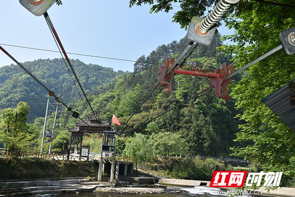 大丰源休闲农业观光园内的游客.