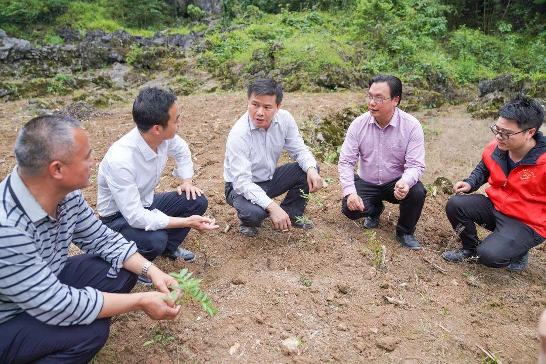 东兰县委书记黄贤昌到东金线检查调研脱贫攻坚和项目建设工作