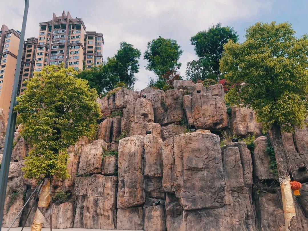 22万元,威远这个地方火了!_狮子山