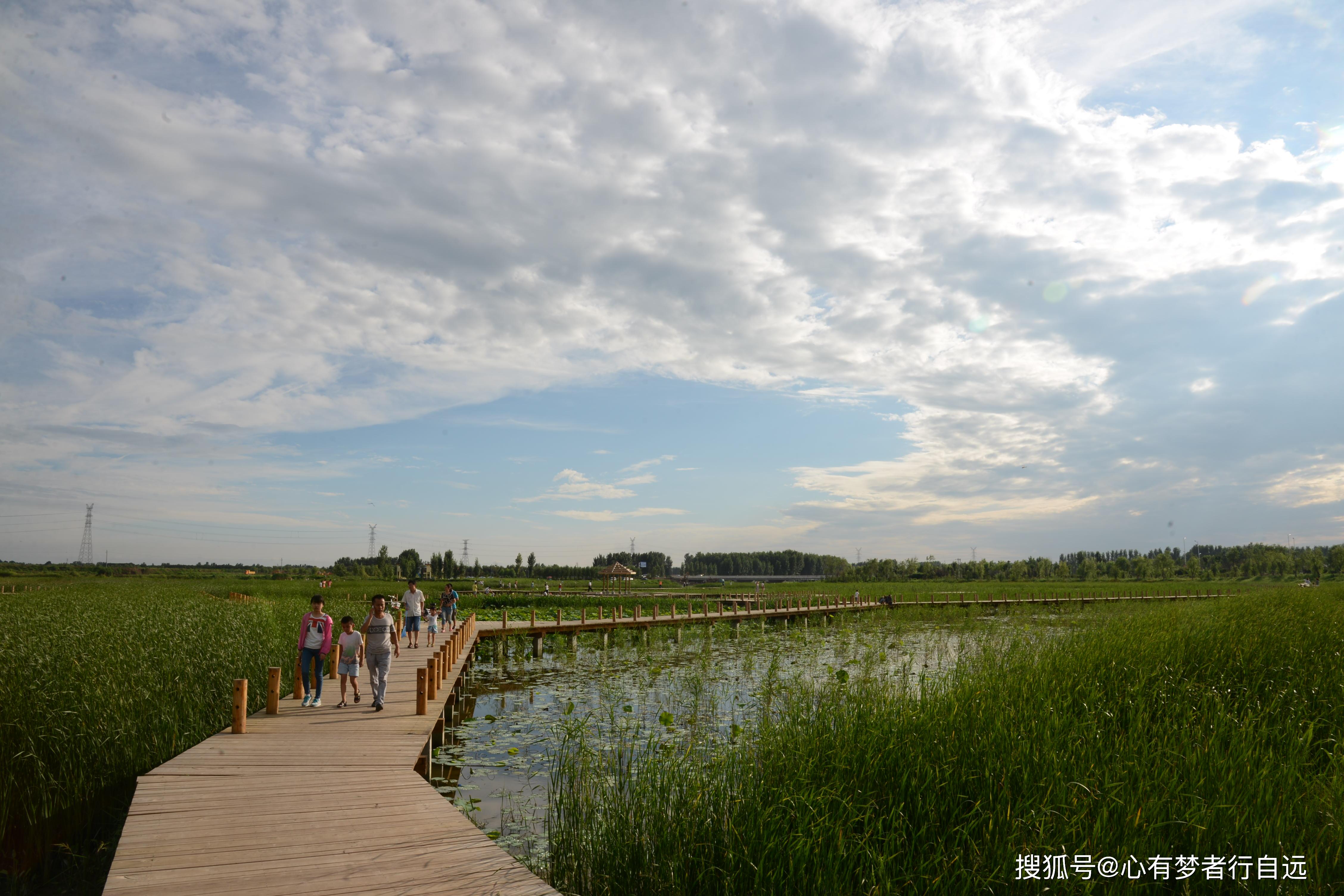 濮阳金堤河国家湿地公园:醉美湿地 云水风情