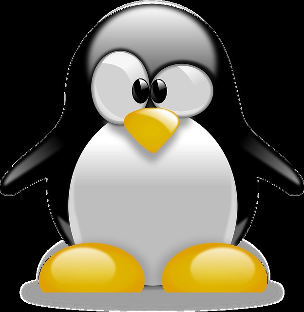 linux头像图片