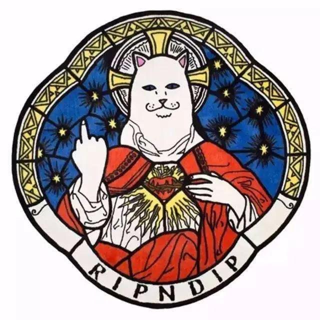 调戏supreme的贱贱白猫ripndip