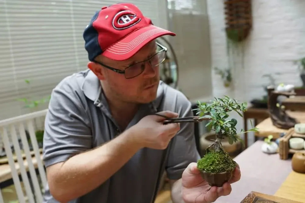 老外盆景师在中国建了一个盆景园