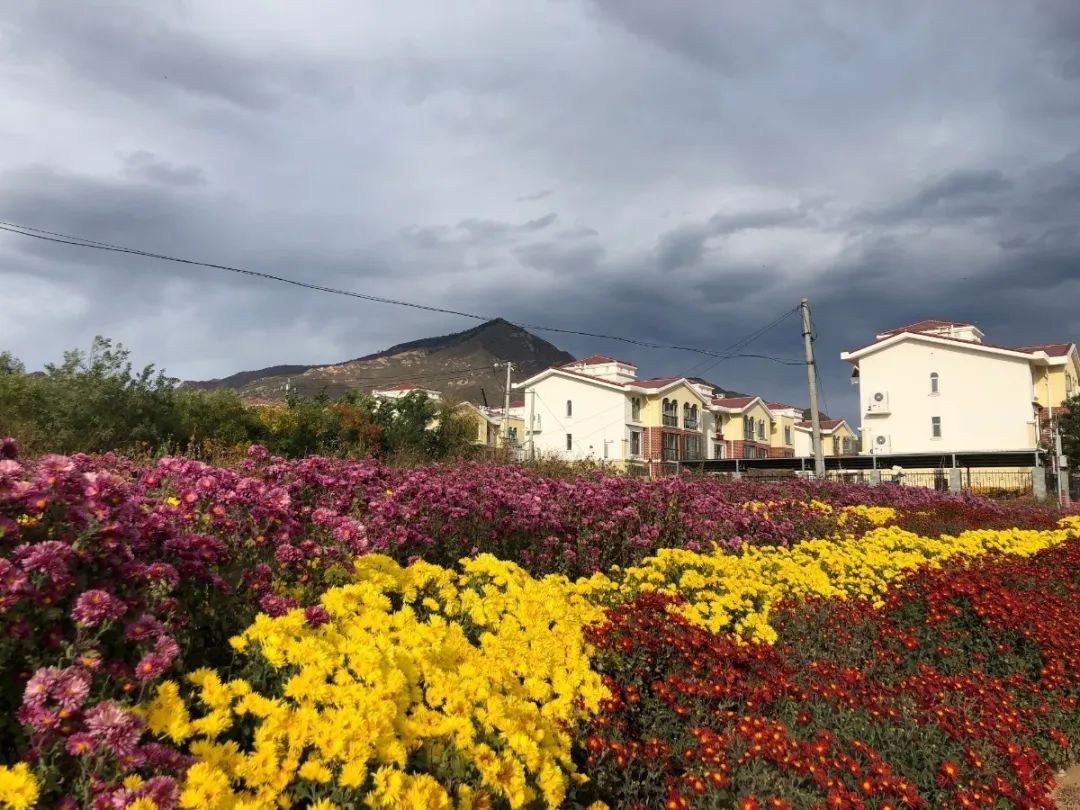 延庆区旧县镇三大环境举措 助推全国文明城区创建工作