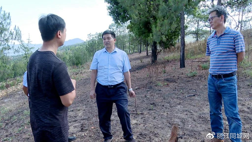 县委常委,县委宣传部部长王金宝,政府副县长胡鑫及相关部门负责人参加