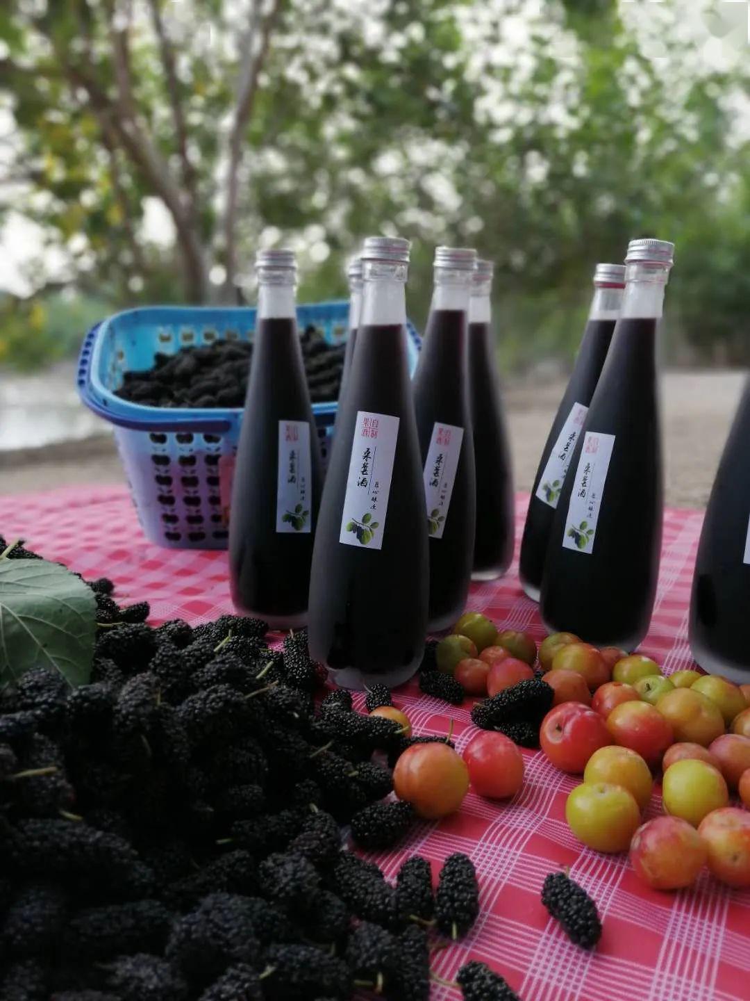 罗浮仙山下产量仅820斤的自酿养生桑葚酒