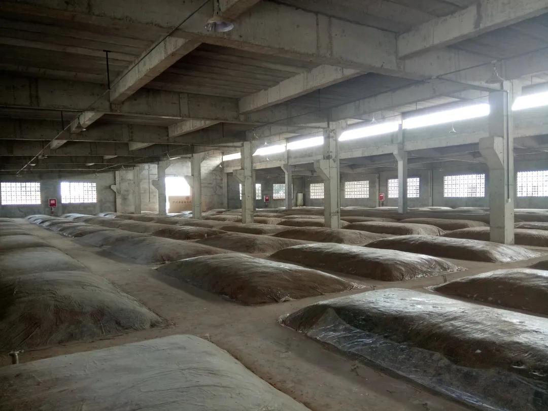 泸州原窖813420酿制优质浓香型白酒推动泸酒加速发展