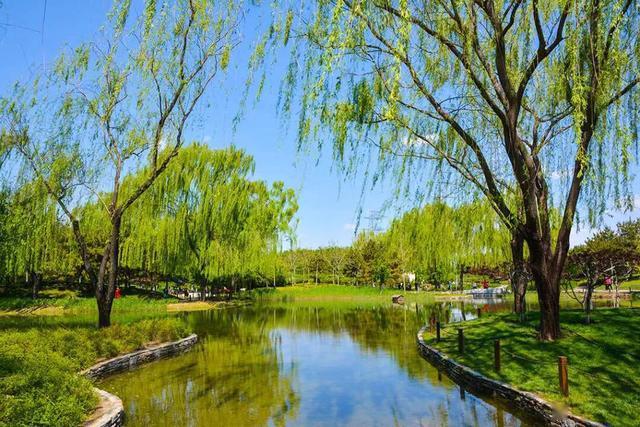 北京巴沟山水园田园好风光让你开启避暑新模式