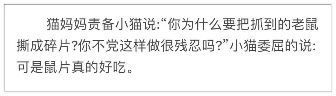 大量沙雕谐音梗段子你是被笑死还是被冷死