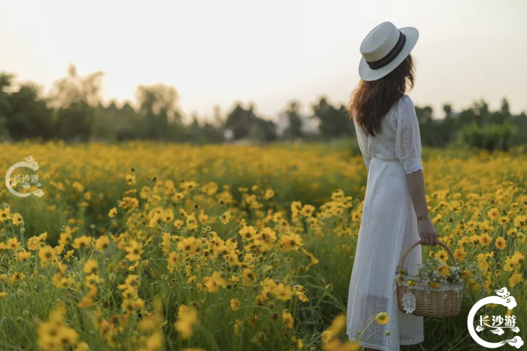 美女闻花香背影图片图片