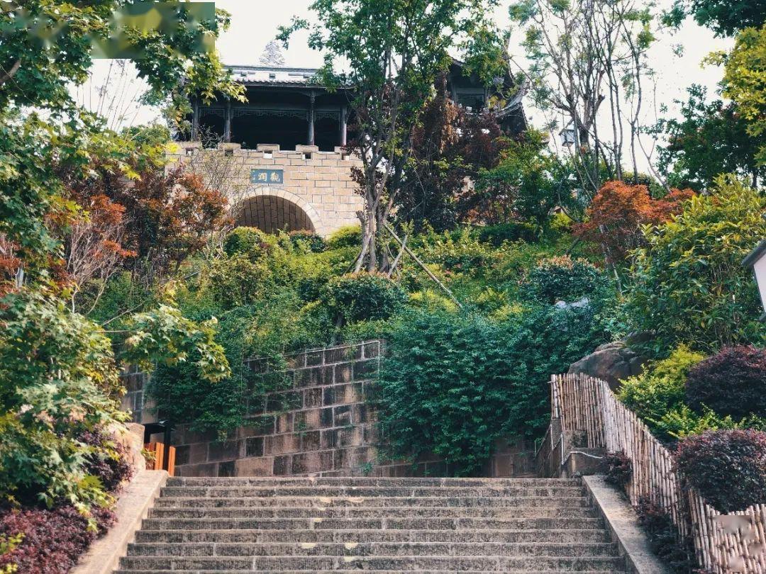 22万元,威远这个地方火了!_狮子山