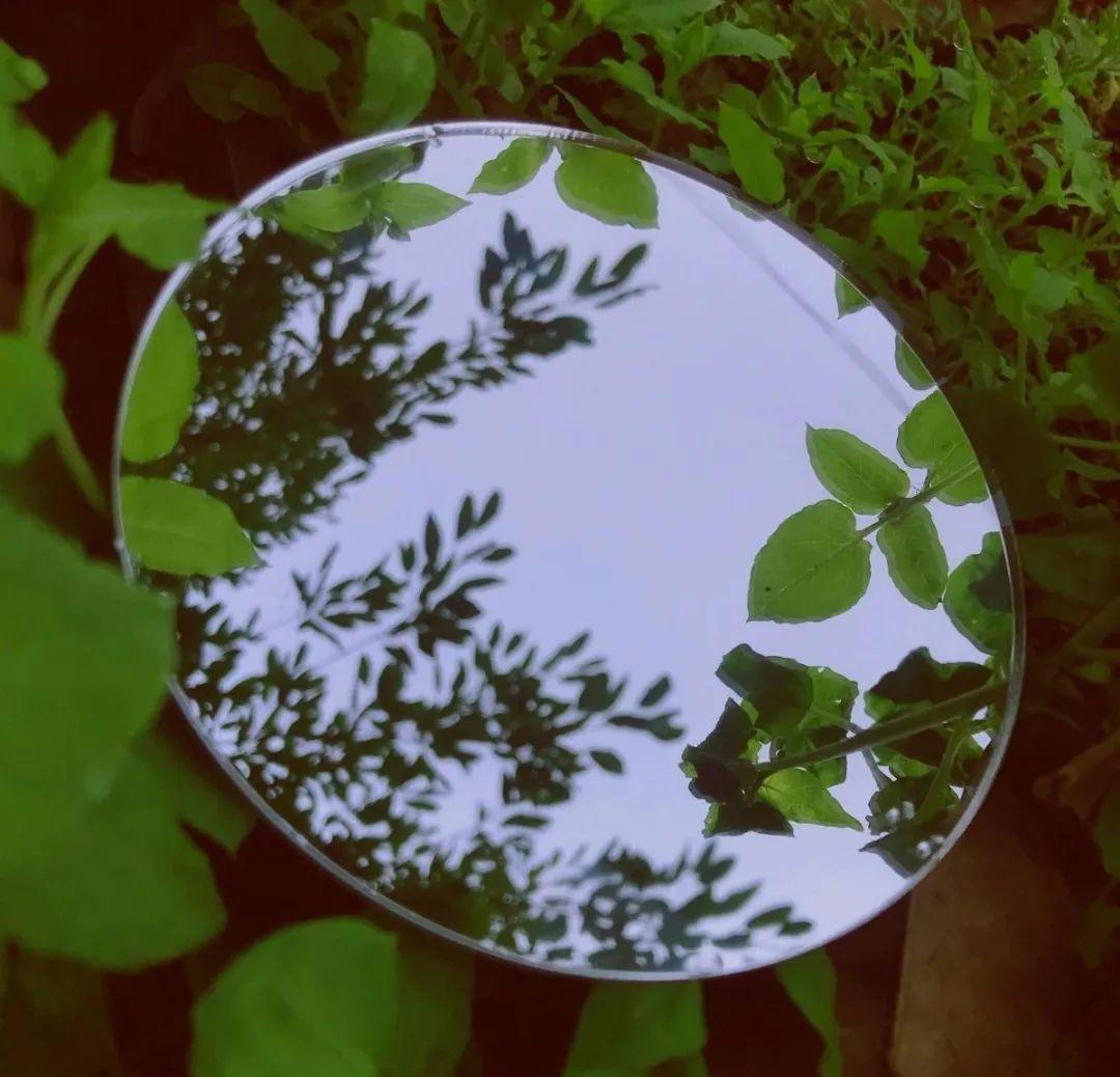 创意镜子研学寻找反光里的清新世界