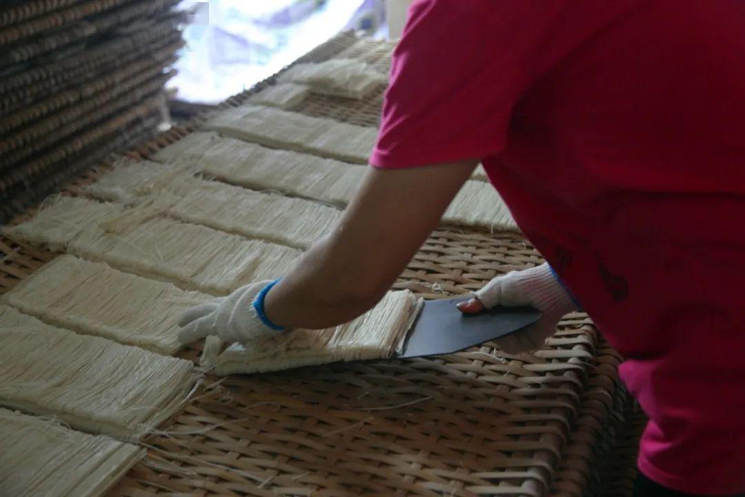 传统的罗秀米粉制作工艺复杂,一般需要12天才能完成,产量很低,在以前