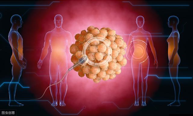 没遇到卵子的精子们,都去了哪里?结局让人惋惜:同精不同命