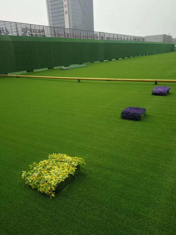 人造屋顶草坪小知识