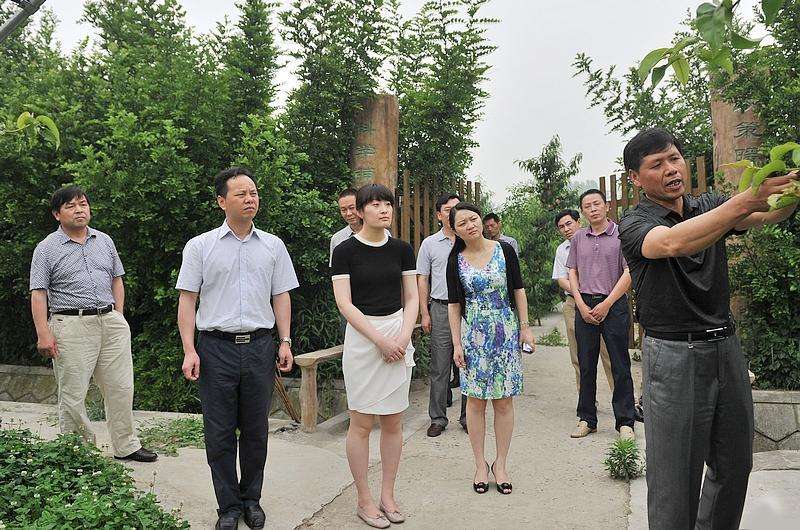 又一85后美女富豪崛起,22岁时坐拥百亿身家,如今控制7千亿资产_林晓芸