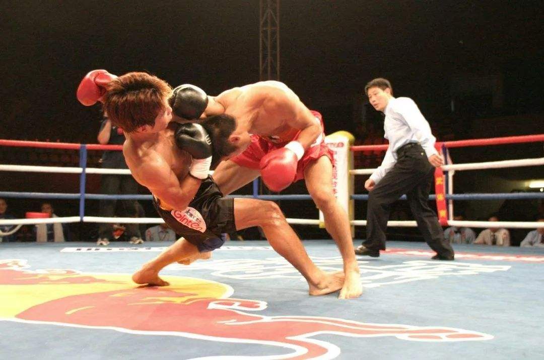 原创同样是散打王苑玉宝外战输得很惨宝力高却赢了