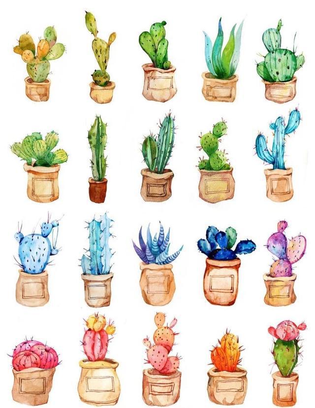 水彩手绘植物仙人掌花卉