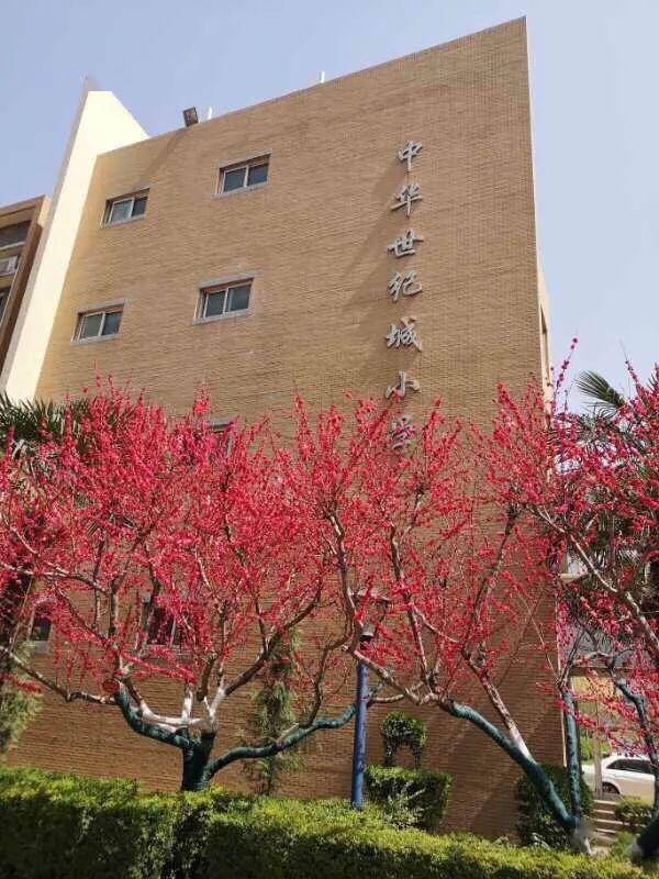 莫道归来晚扬帆正当时记中华世纪城小学13年级复课返校