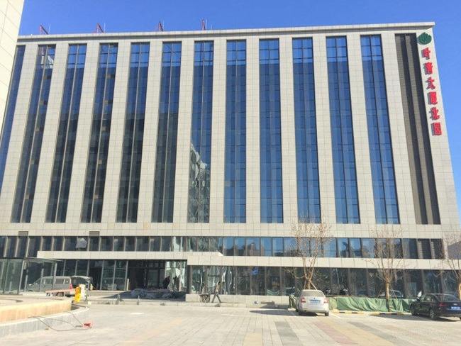 护卫北京叶青大厦创腾测温款人脸识别速通门