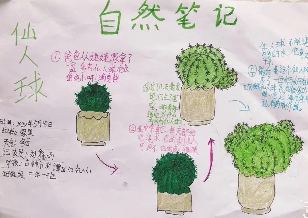 湖北省黄冈市浠水县第二实验小学指导教师:艾雯班级 :一(7)班观察人