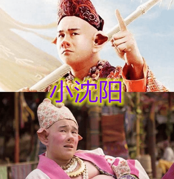 小沈阳:小沈阳在《西游记之孙悟空三打白骨精》中,扮演的猪八戒.