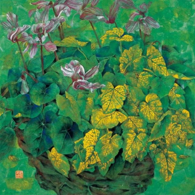 她走遍世界各地创作了许多画家未画过的植物