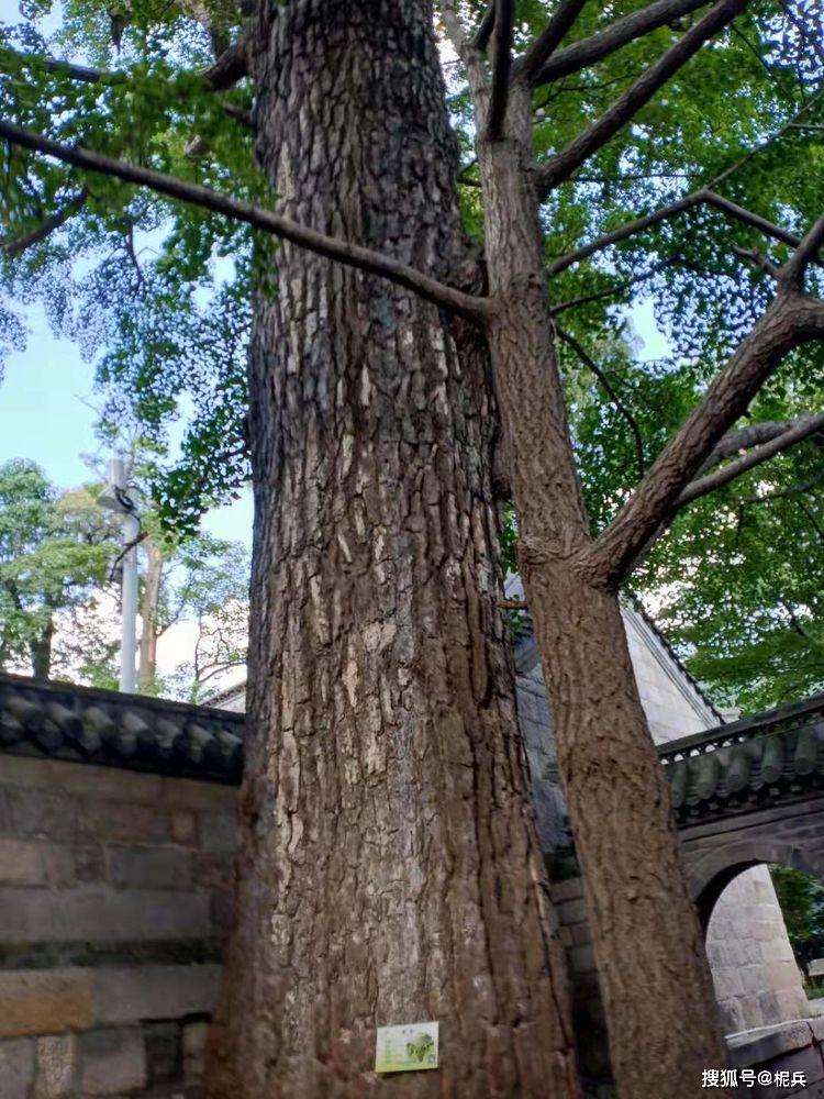 尋仙問道太清宮_嶗山