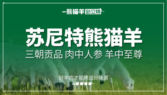 上撒欢的苏尼特熊猫羊,丁申才开始了让绿色健康的好羊肉走向国人餐桌