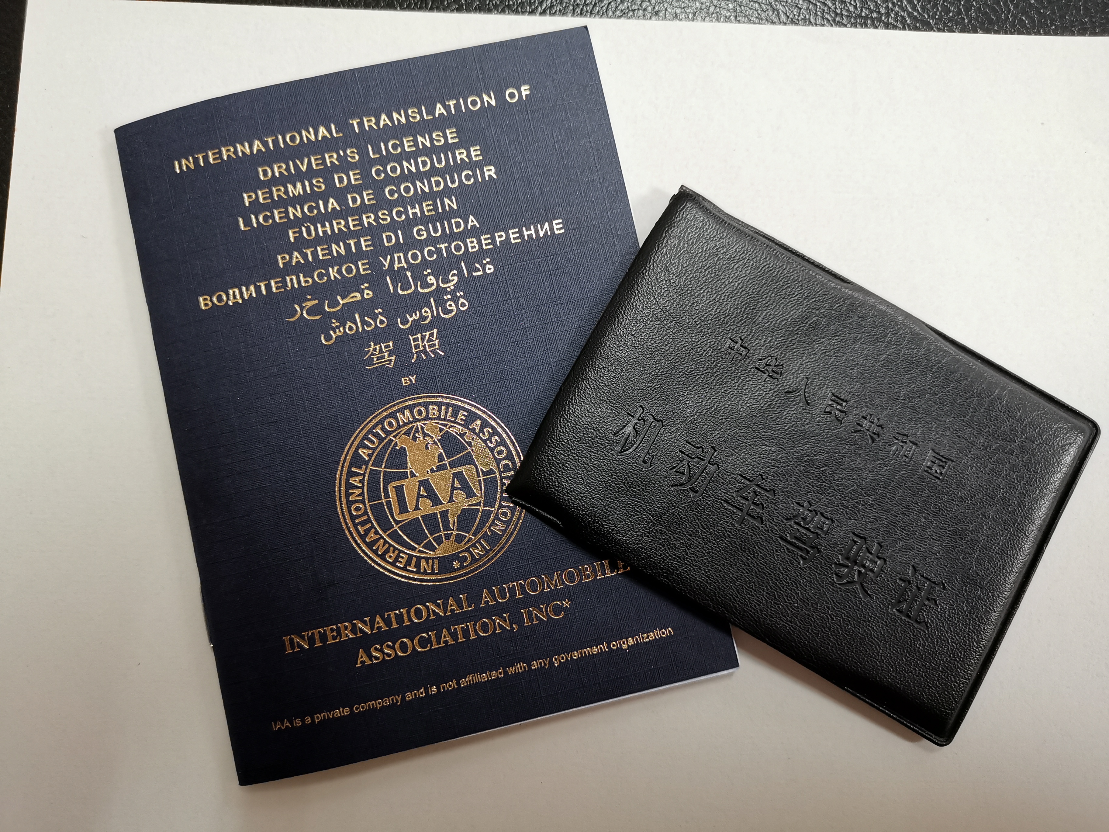 国际驾驶证样本图片