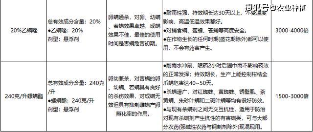 春季红蜘蛛开始爆发,避开这几个误区,橘园才能"长治久安"_用药