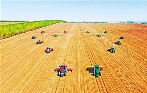 机械化种植 助增收