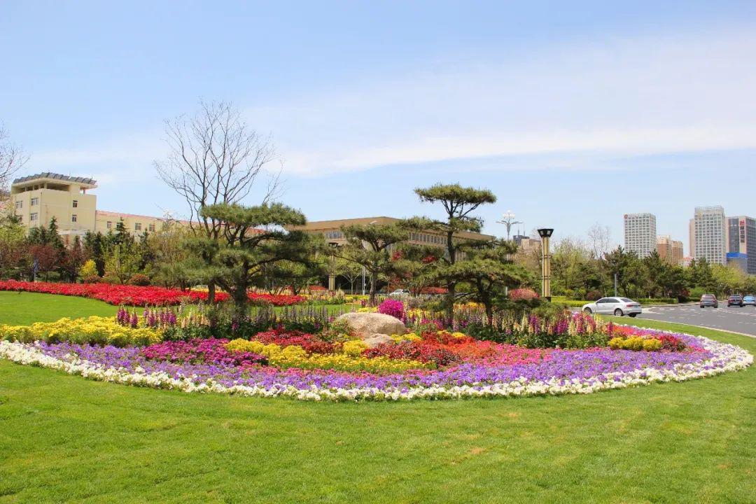 多彩花卉,扮靓精致城市_景观