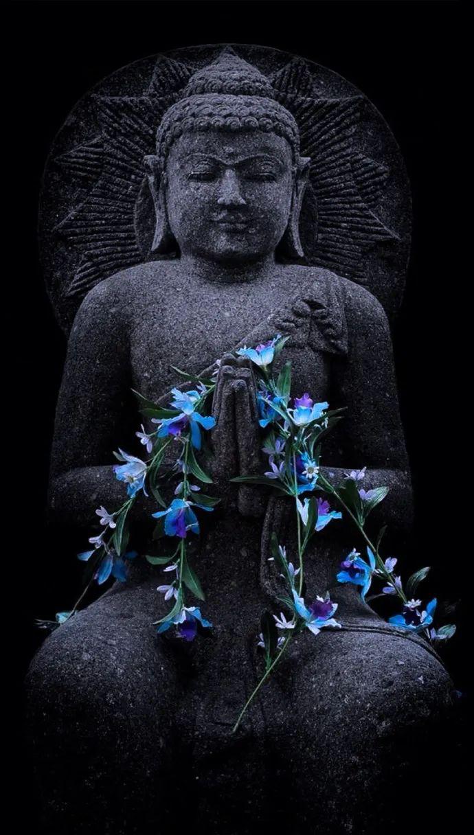 舞雩诗经147桧风素冠