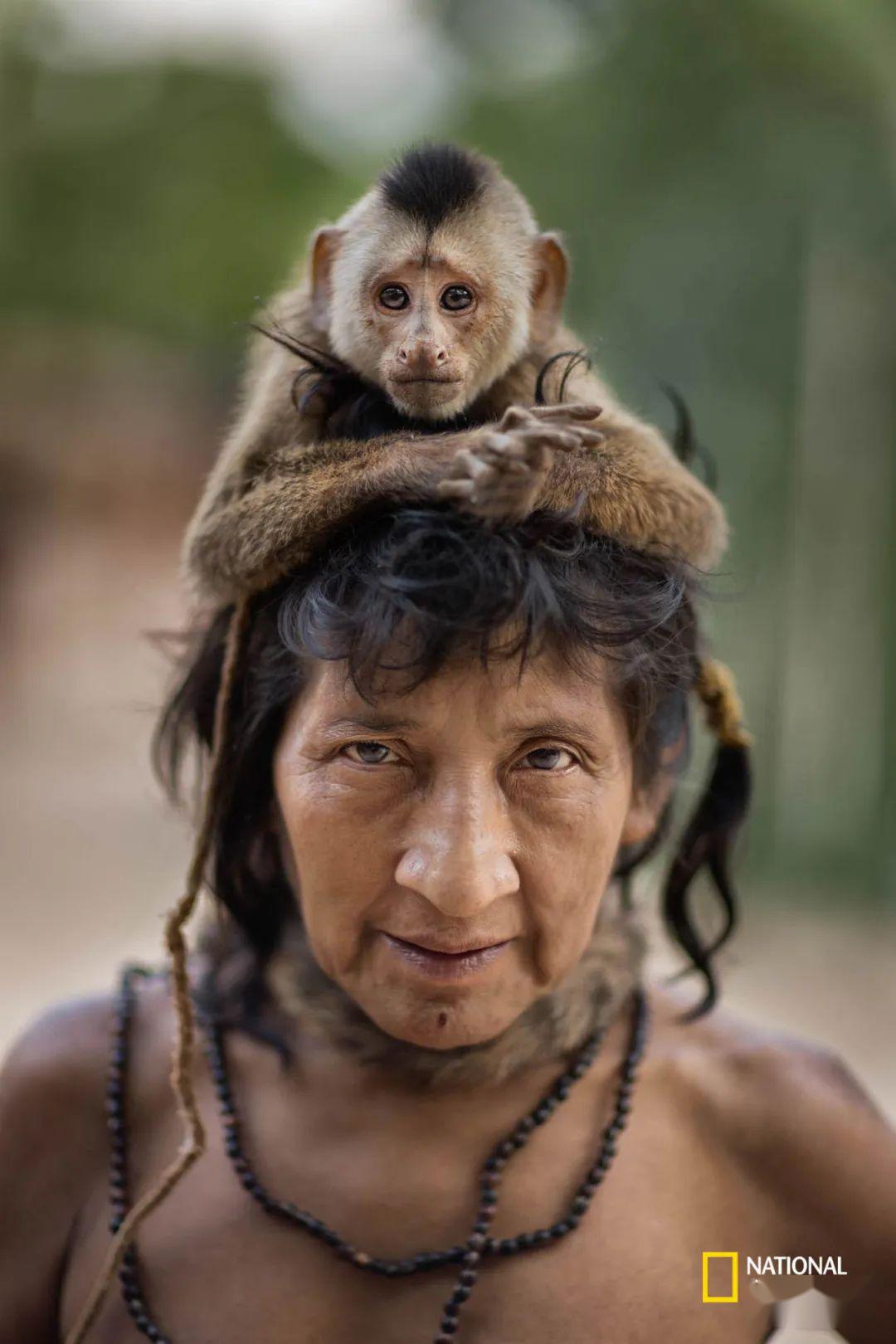 最后的亚马孙部落,可能被病毒和人类灭绝_阿瓦