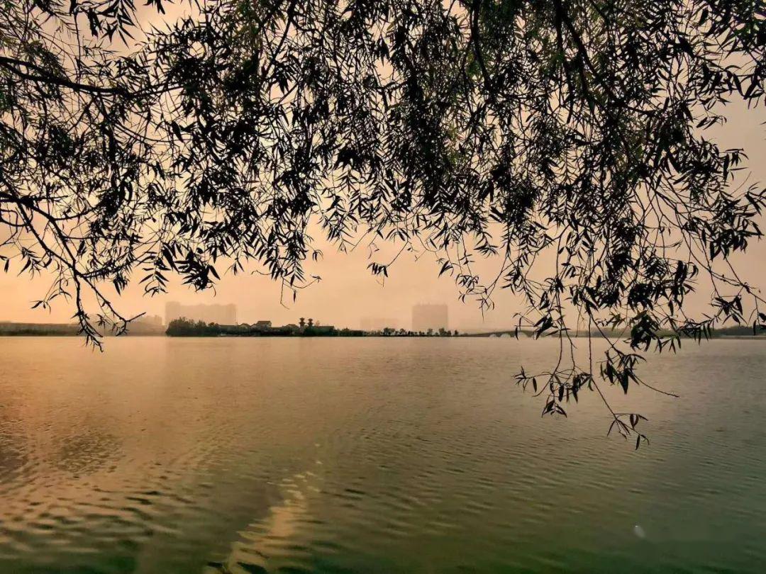 鳳城湖的早晨,一夜秋雨,霧霾疊加.瞅瞅這朝陽給憋屈嘞.