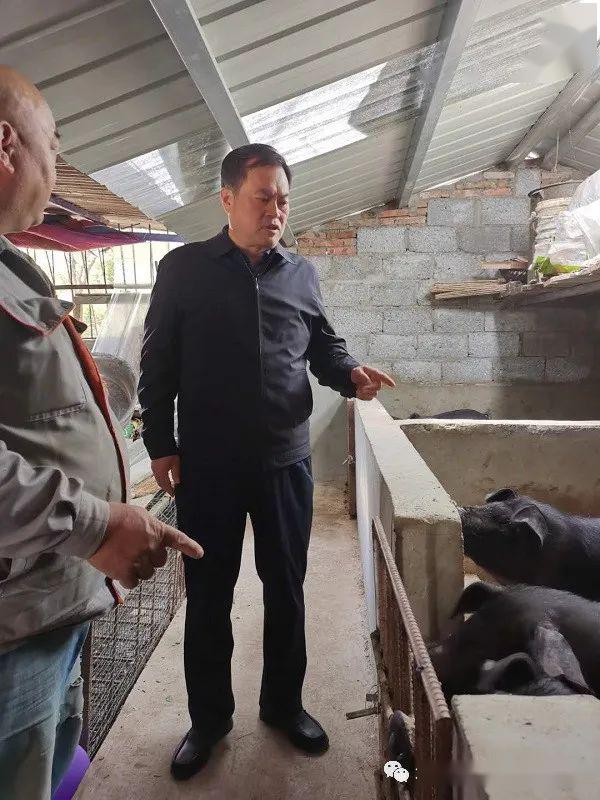 县委书记田来锁深入太白河镇调研指导脱贫攻坚工作