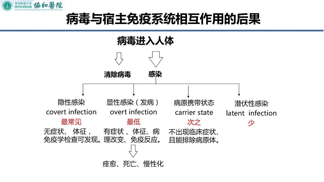 杨东亮免疫功能的差异对新冠病毒患者有着非常重要的作用