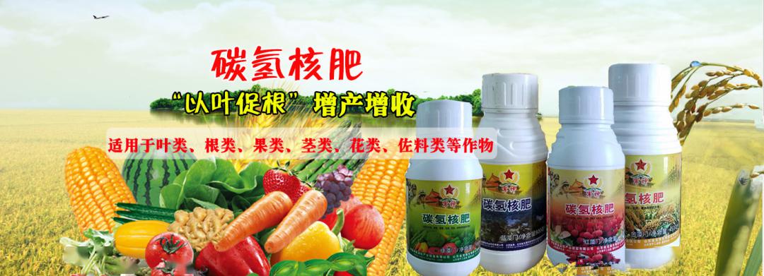 碳氢核肥减了化肥富了农民绿了中国