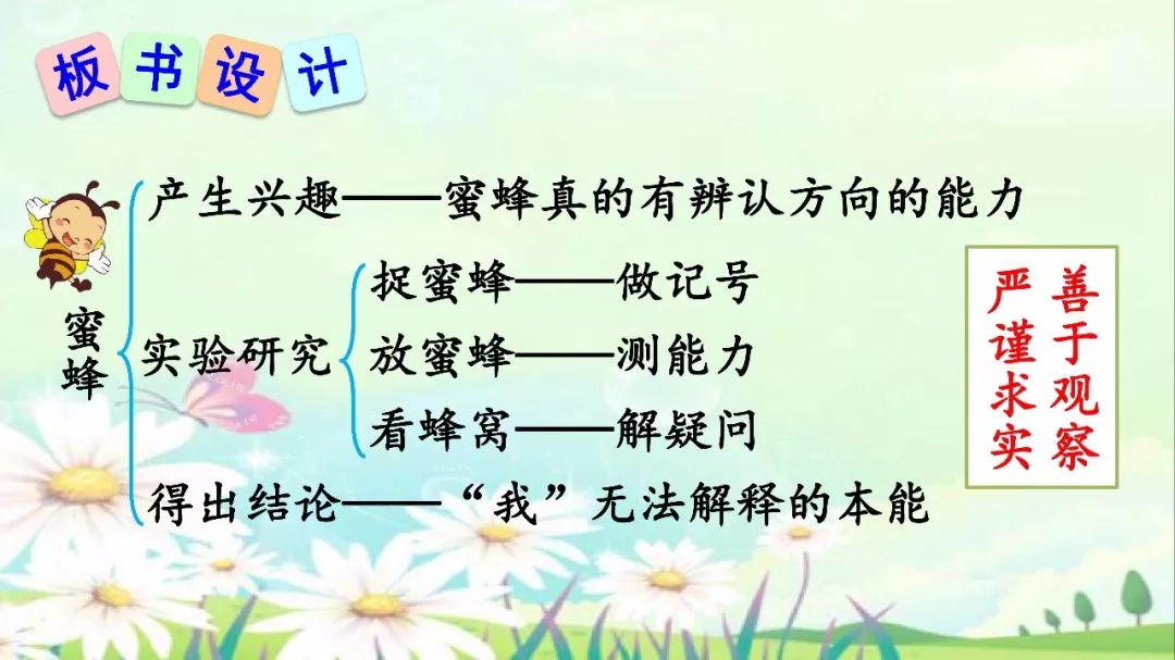 14蜜蜂板书图片