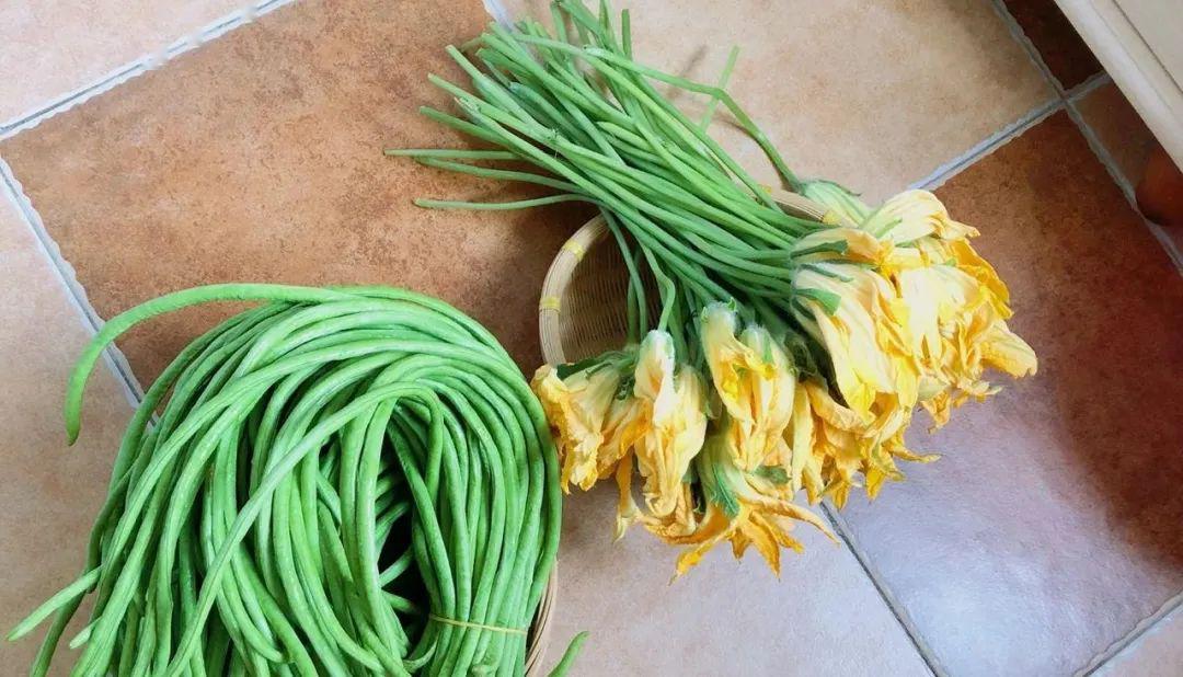 都可以吃上一道南瓜花菜